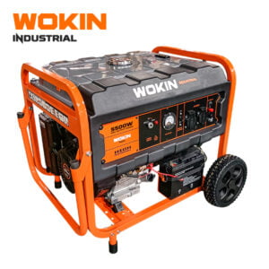 5500W GASOLINE GENERATOR